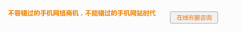 不容錯過的手機網(wǎng)絡(luò)商機，不能錯過的手機網(wǎng)站時代